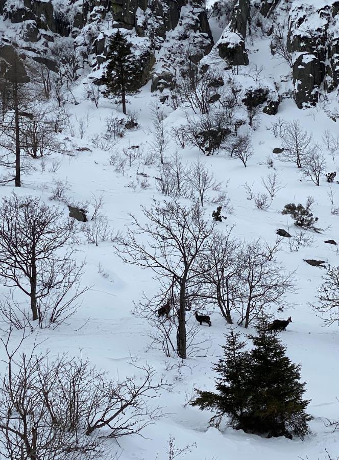 Privatzimmer / Bed & Breakfast Andermatt Esterno foto