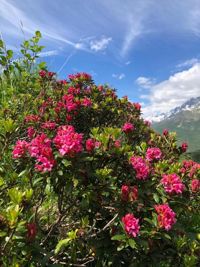 Privatzimmer / Bed & Breakfast Andermatt Esterno foto
