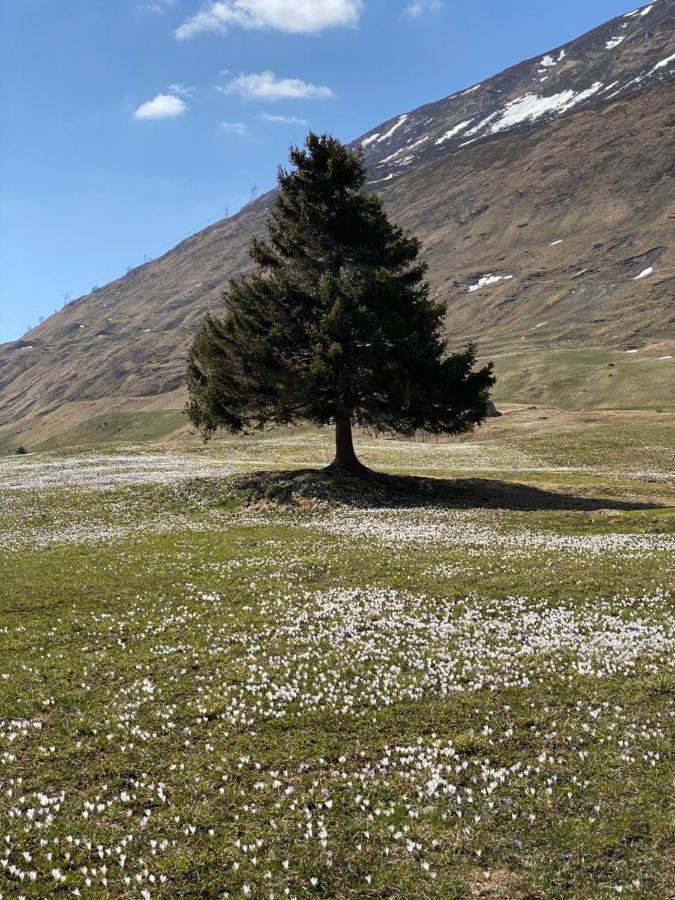 Privatzimmer / Bed & Breakfast Andermatt Esterno foto
